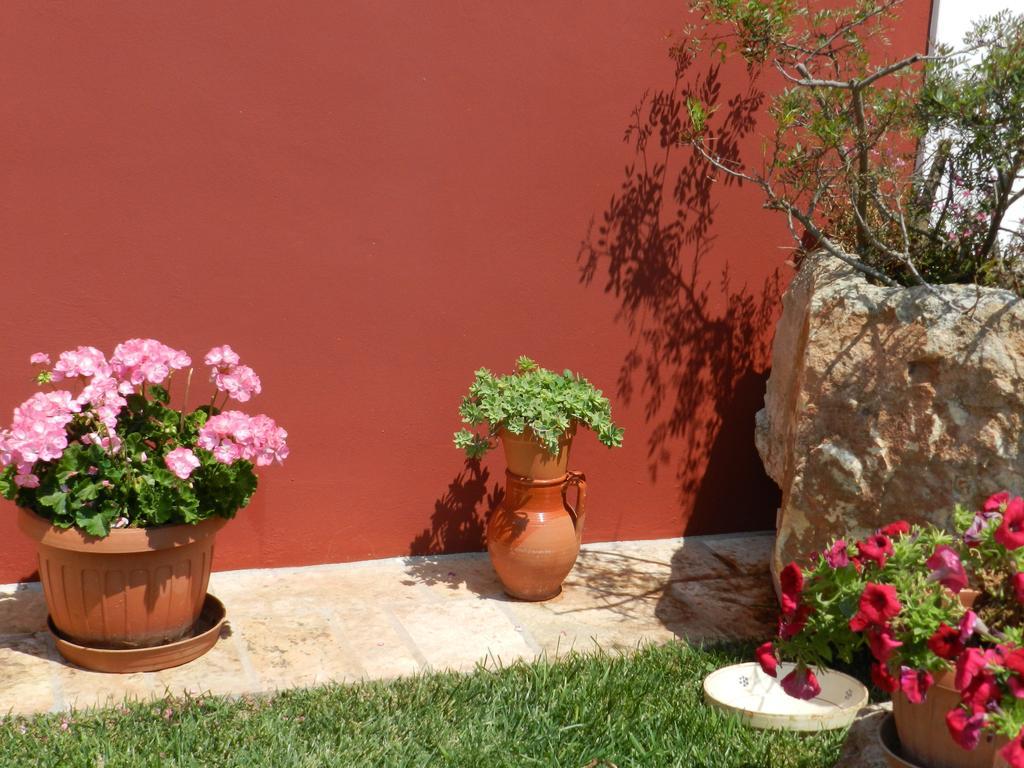 I Trulli Del Nonno Michele Casa de hóspedes Alberobello Exterior foto